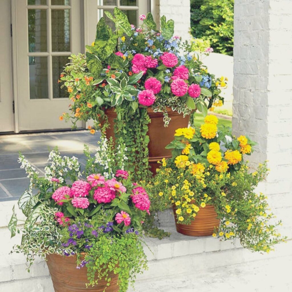 Three terracotta pots containing colorful pink, yellow, and blue flowers with trailing green vines on a porch.
