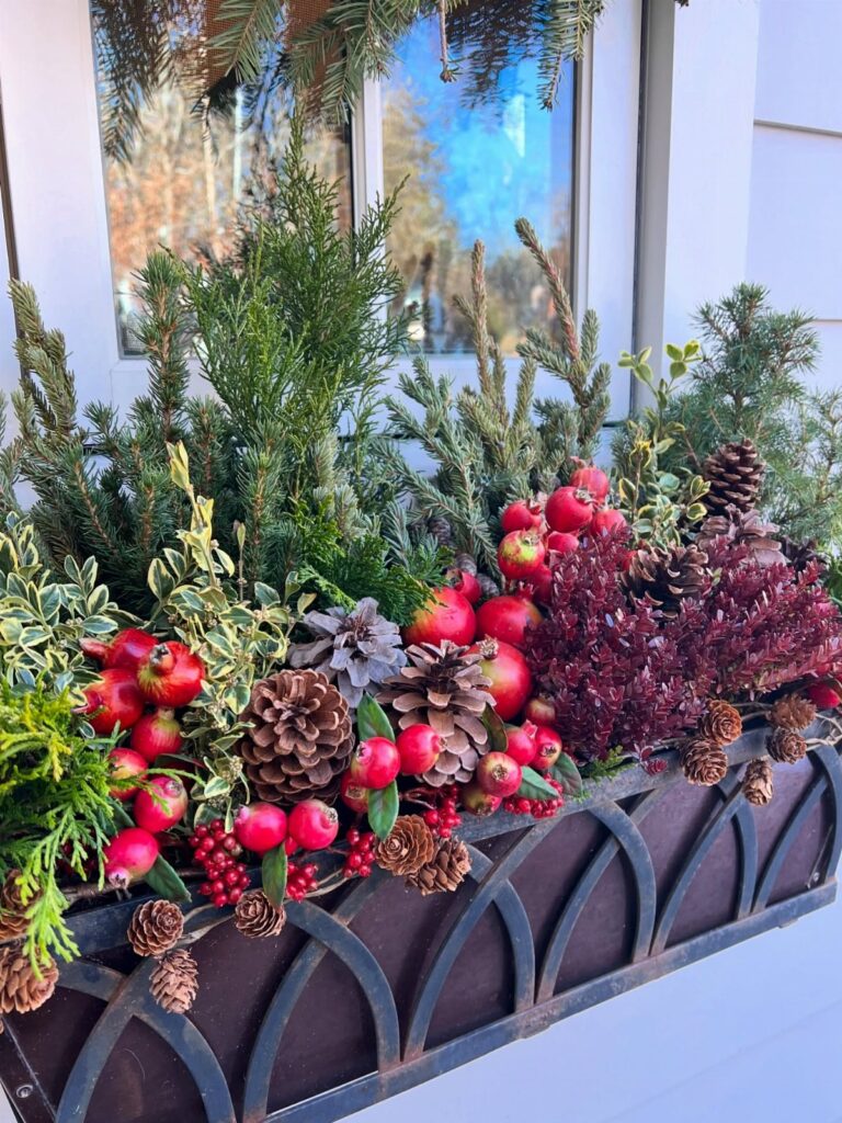 Evergreen branches with pinecones and red cranberries in a decorative metal window planter box.